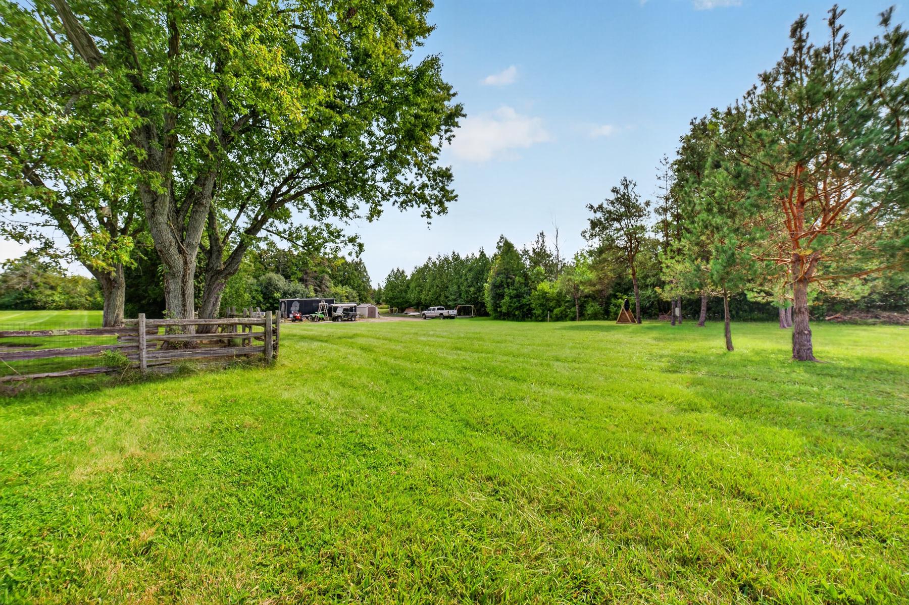 Open pasture framed by mature trees