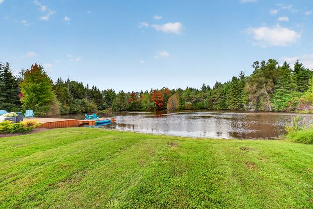 The pond from the lawn